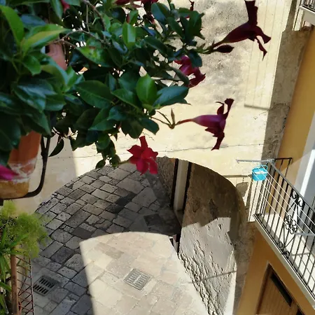 Primavera
