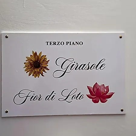Primavera 3*